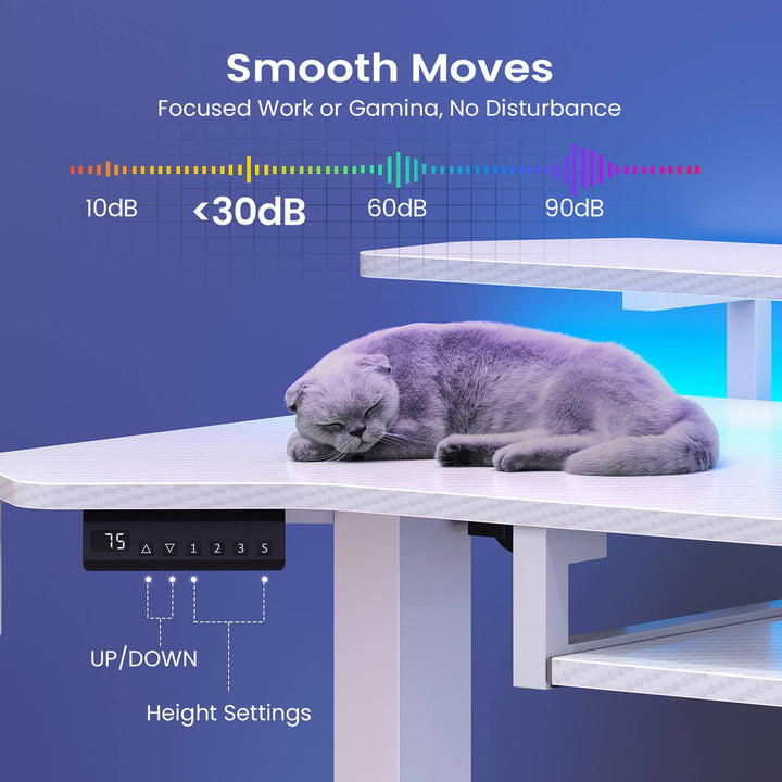 SEDETA® 55 Inch Electric Standing Gaming Desk Height Adjustable Ergonomic Computer Desk with LED Lights Power Strip Keyboard Tray and Monitor Stand