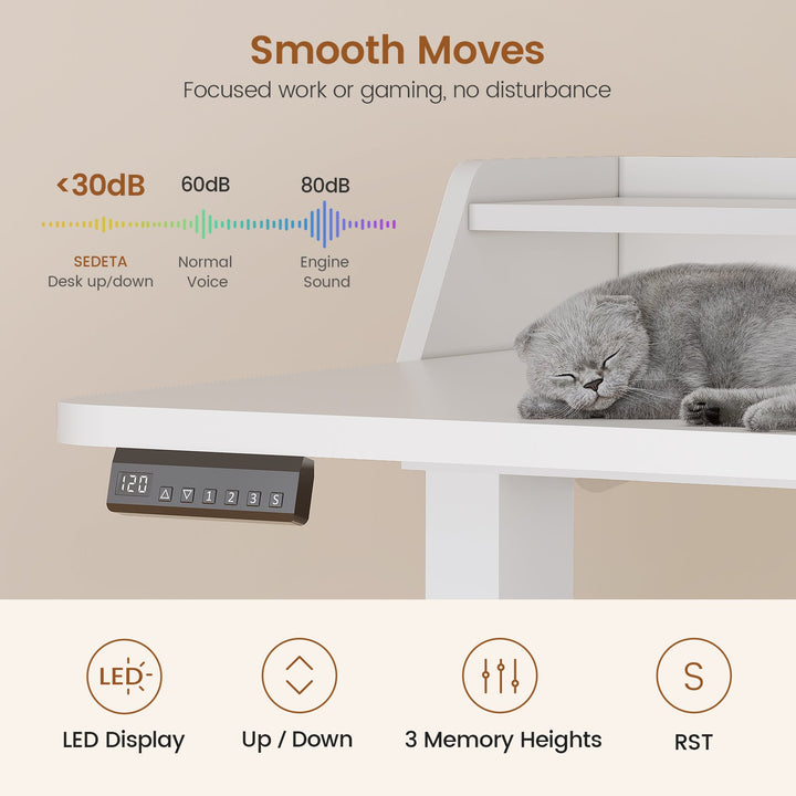 SEDETA 55 Inch Fluted Electric Standing Desk Ergonomic Height Adjustable Desk with Storage Power Outlets LED Lights