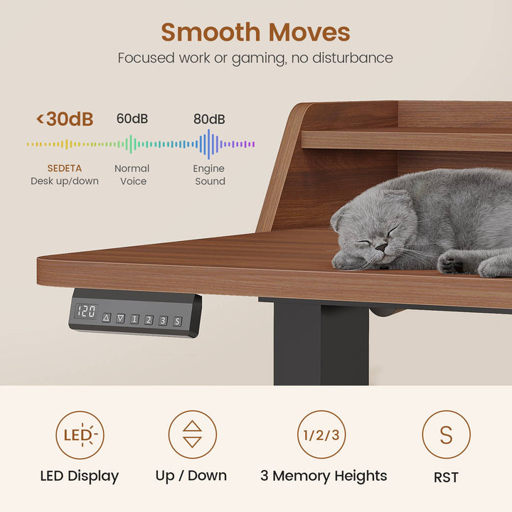SEDETA 55 Inch Fluted Electric Standing Desk Ergonomic Height Adjustable Desk with Storage Power Outlets LED Lights