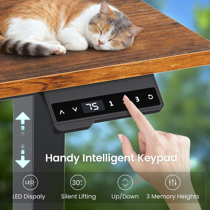 SEDETA | 56.7 Inch L Shaped Standing Desk Computer Desk Height Adjustable Electric Corner Gaming Desks with Power Outlets LED Lights