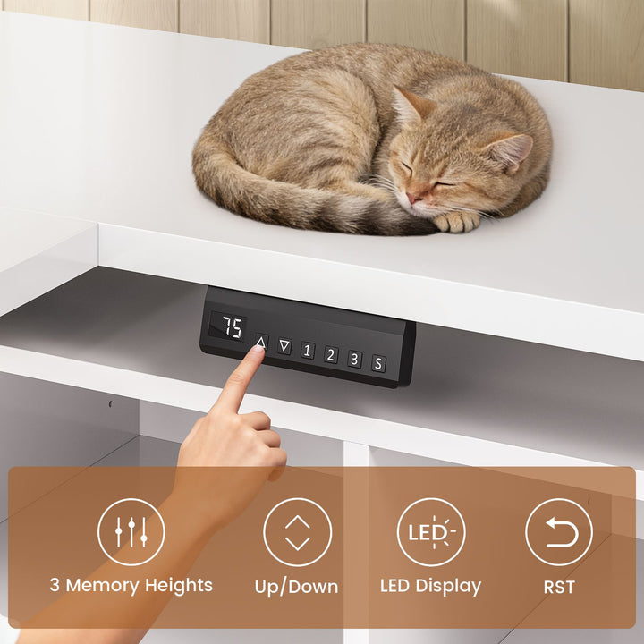 SEDETA | 63 Inch Height Adjustable Computer Desk with Storage Shelves and LED Lights L Shaped Electric Standing Desk with Power Outlet and Pegboard