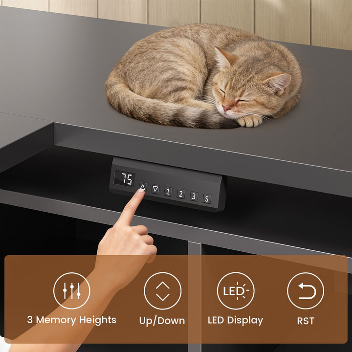 SEDETA | 63 Inch Height Adjustable Computer Desk with Storage Shelves and LED Lights L Shaped Electric Standing Desk with Power Outlet and Pegboard