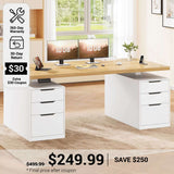 SEDETA 55 Inch Electric Standing Desk with 6 Drawers Adjustable Stand up Desk with Storage Computer Desks with Power Outlets