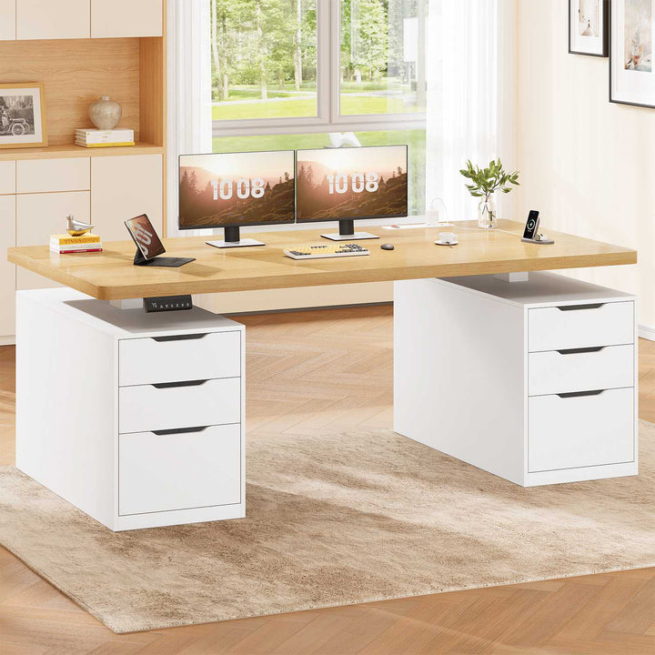 SEDETA 55 Inch Electric Standing Desk with 6 Drawers Adjustable Stand up Desk with Storage Computer Desks with Power Outlets