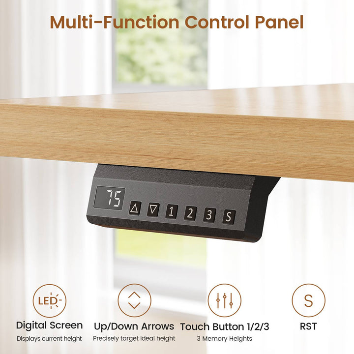 SEDETA 55 Inch Electric Standing Desk with 6 Drawers Adjustable Stand up Desk with Storage Computer Desks with Power Outlets