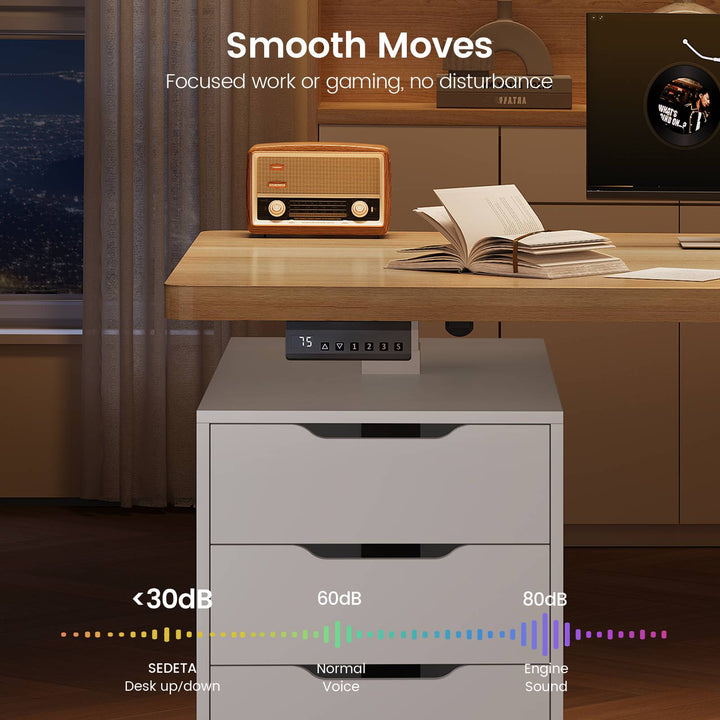 SEDETA 55 Inch Electric Standing Desk with 6 Drawers Adjustable Stand up Desk with Storage Computer Desks with Power Outlets