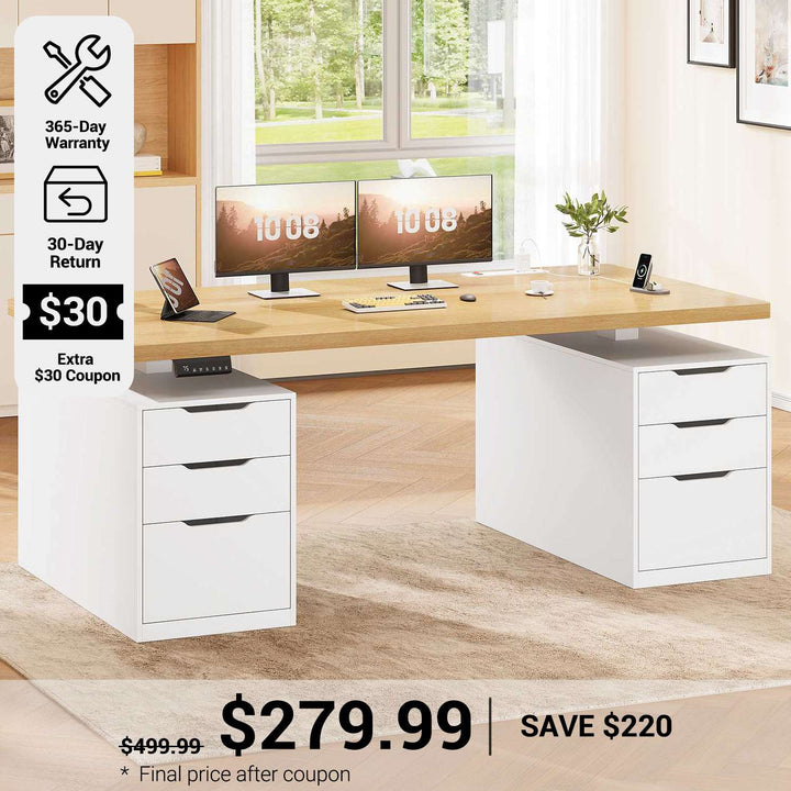 SEDETA 55 Inch Electric Standing Desk with 6 Drawers Adjustable Stand up Desk with Storage Computer Desks with Power Outlets
