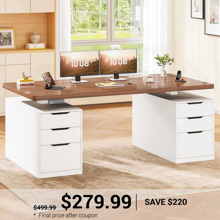 SEDETA 55 Inch Electric Standing Desk with 6 Drawers Adjustable Stand up Desk with Storage Computer Desks with Power Outlets