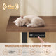 SEDETA 63 Inch L Shaped Electric Standing Desk with 3 Drawers for Office and Gaming Height Adjustable Desk with 3 Fabric Drawers Convertible L Shaped Desk or 2 Person Desk Sit Stand Desk