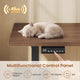 SEDETA 63 Inch L Shaped Electric Standing Desk with 3 Drawers for Office and Gaming Height Adjustable Desk with 3 Fabric Drawers Convertible L Shaped Desk or 2 Person Desk Sit Stand Desk