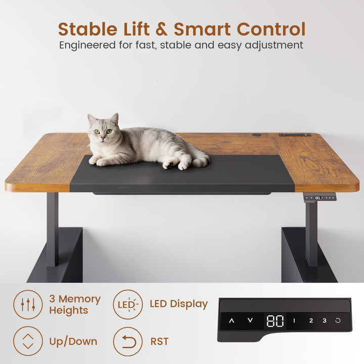 SEDETA 63 Inch Executive Standing Desk with Storage Height Adjustable Desk with Power Outlets Computer Office Desk with Privacy Panel
