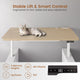 SEDETA 63 Inch Executive Standing Desk with Storage Height Adjustable Desk with Power Outlets Computer Office Desk with Privacy Panel
