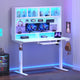 SEDETA 55 Inch Standing Desk Electric Height Adjustable Sit Stand Up Gaming Desk with Led Lights Power Outlet Storage Hutch and Pegboard