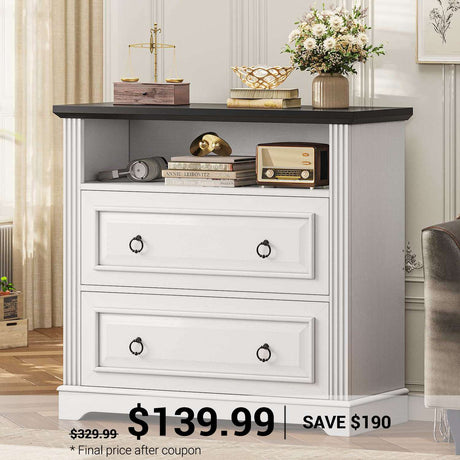 SEDETA 33.8 Inch 2 Drawer File Cabinet Farmhouse Wood File Cabinets Wood Lateral File Cabinet with Printer Stand Storage Shelf