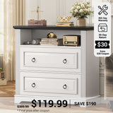 SEDETA® 33.8 Inch 2 Drawer File Cabinet Filing Cabinet Fits Letter Legal A4 Size Farmhouse File Cabinets with Printer Stand Storage Shelf