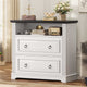 SEDETA 33.8 Inch 2 Drawer File Cabinet Farmhouse Wood File Cabinets Wood Lateral File Cabinet with Printer Stand Storage Shelf