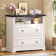 SEDETA 33.8 Inch 2 Drawer File Cabinet Farmhouse Wood File Cabinets Wood Lateral File Cabinet with Printer Stand Storage Shelf