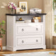 SEDETA 33.8 Inch 2 Drawer File Cabinet Farmhouse Wood File Cabinets Wood Lateral File Cabinet with Printer Stand Storage Shelf