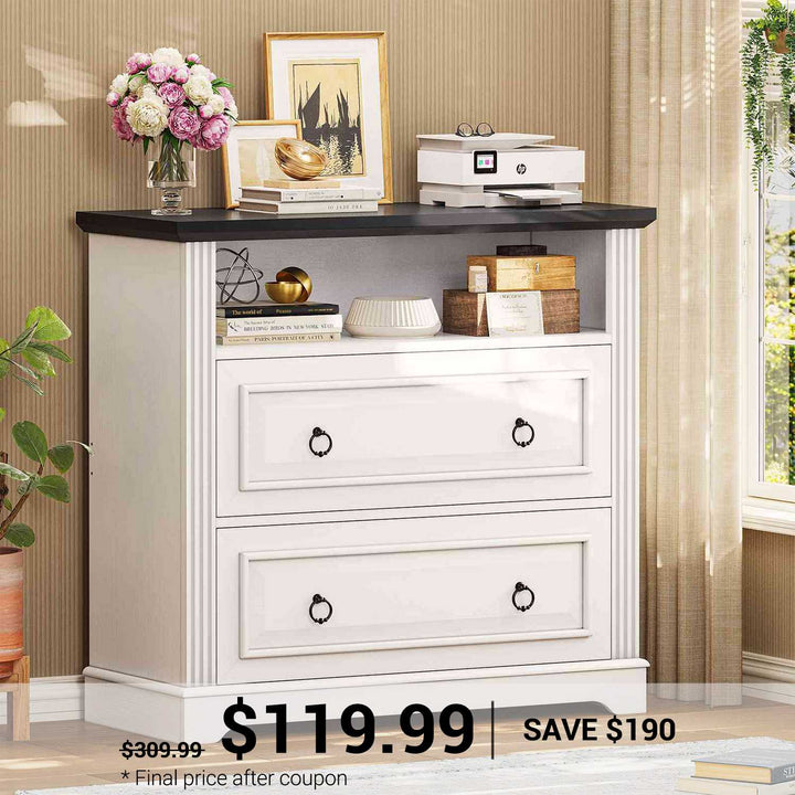 SEDETA | 33.8 Inch 2 Drawer File Cabinet Classical American with Printer Stand Storage Shelf Filing Cabinet Fits Letter Legal A4 Size