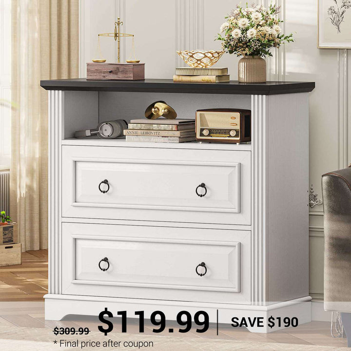 SEDETA | 33.8 Inch 2 Drawer File Cabinet Classical American with Printer Stand Storage Shelf Filing Cabinet Fits Letter Legal A4 Size