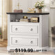 SEDETA | 33.8 Inch 2 Drawer File Cabinet Classical American with Printer Stand Storage Shelf Filing Cabinet Fits Letter Legal A4 Size