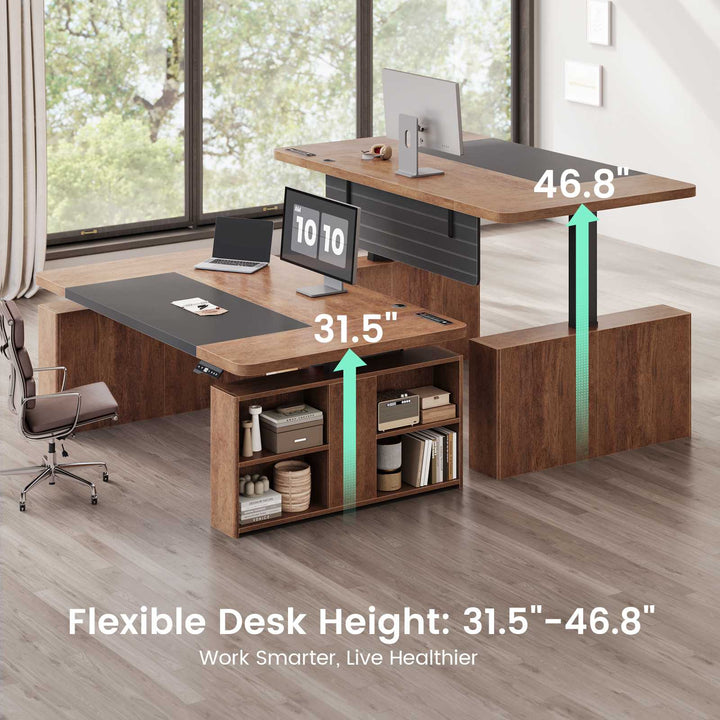 SEDETA 63 Inch Executive Standing Desk Electric Height Adjustable Computer Office Desk with Storage Shelves Power Outlets Privacy Panel
